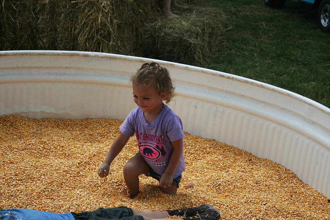 A coin hunt is a favorite part of the SummerFest event. Photo Provided.