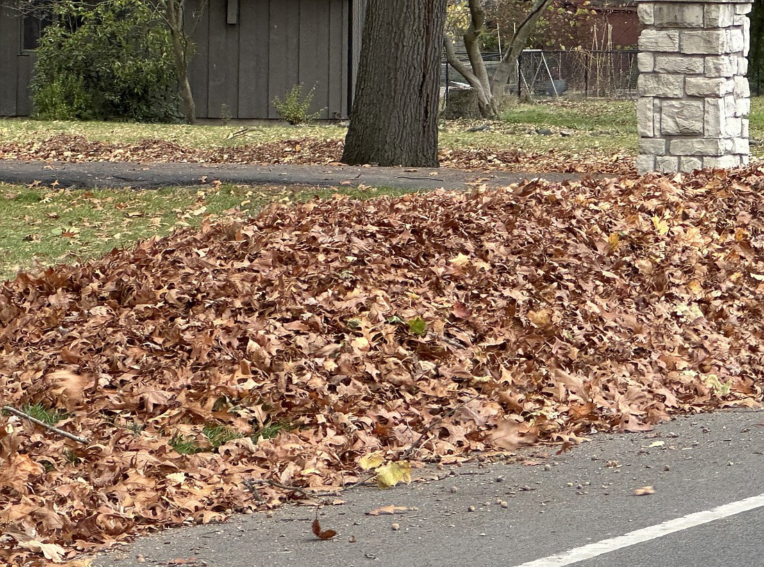 A pile of leaves waits to be picked up along North Harrison Street in Warsaw. Photo by David Slone, Times-Union