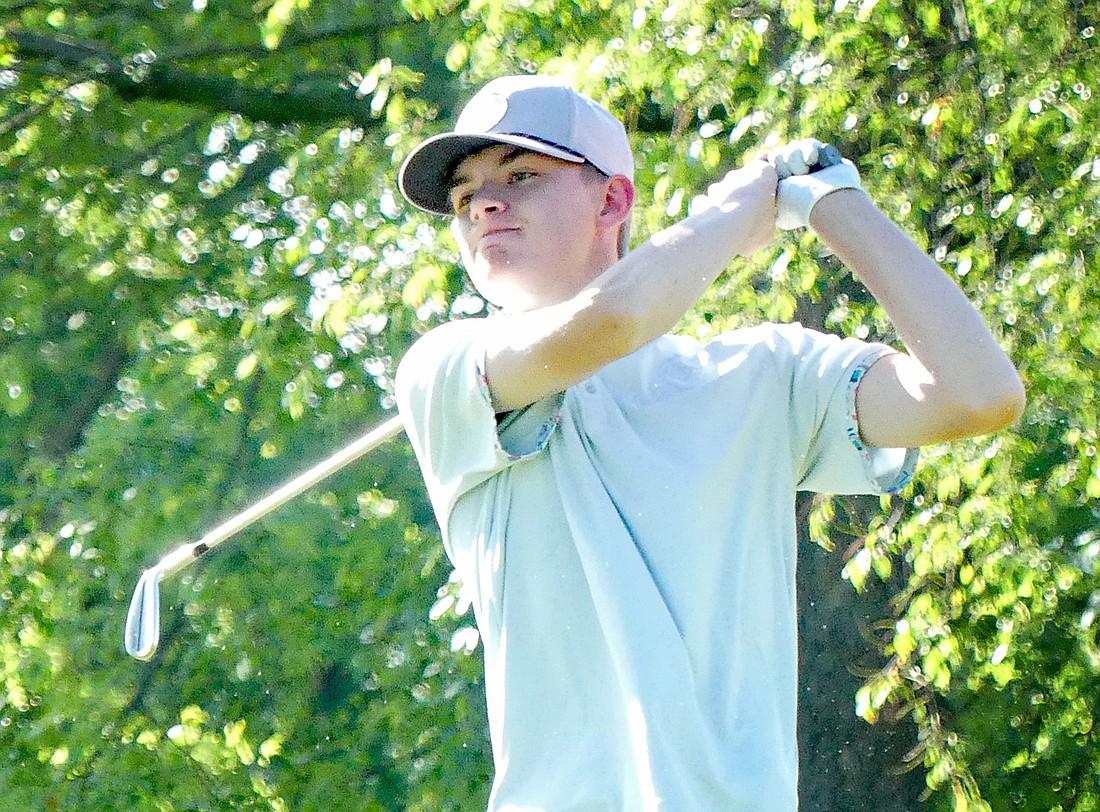 Sophomore Preston Scherer of Wawasee tees off on the second hole at Eagle Glenn in Columbia City...Nieter