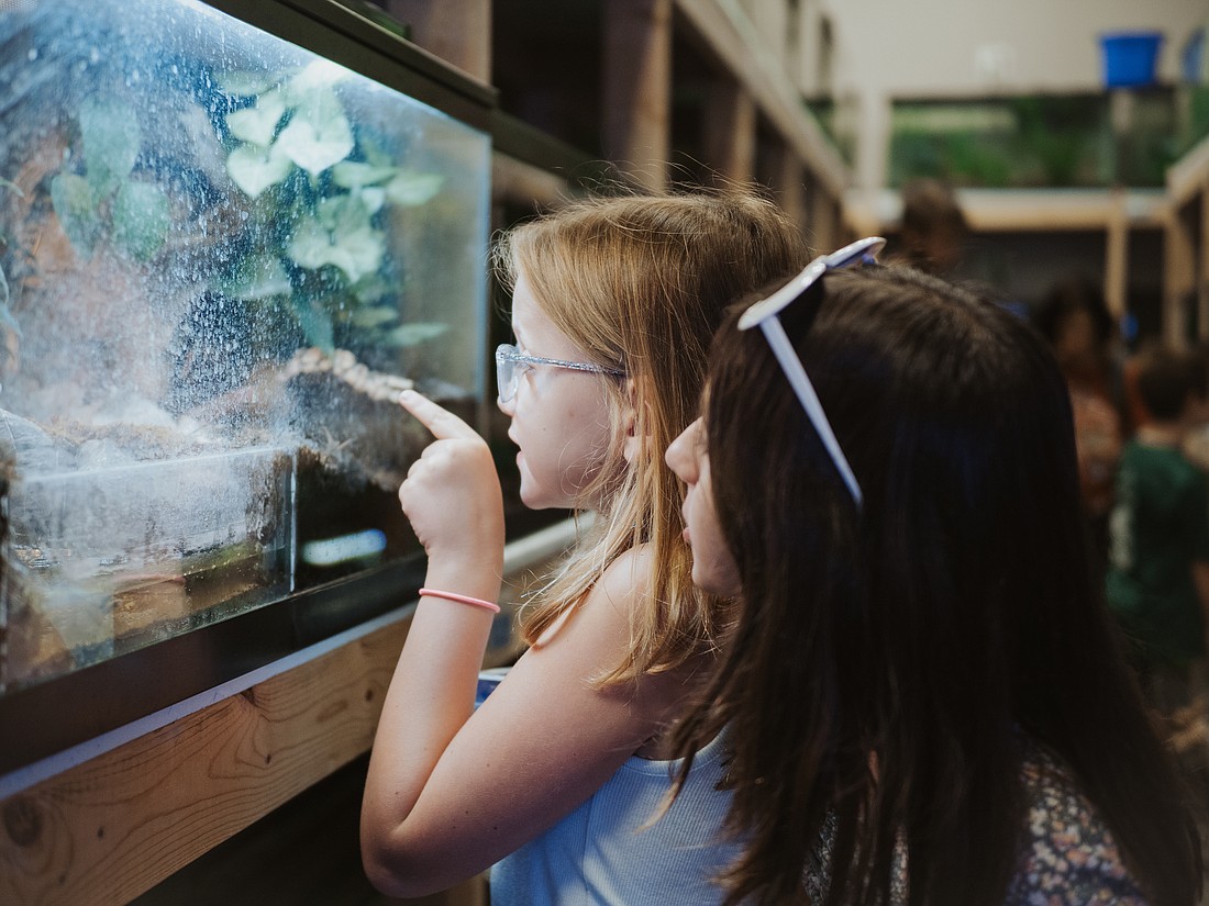 Critter Encounter attendants get a behind-the-scenes look at Lilly Center aquariums. 
Photo Provided.