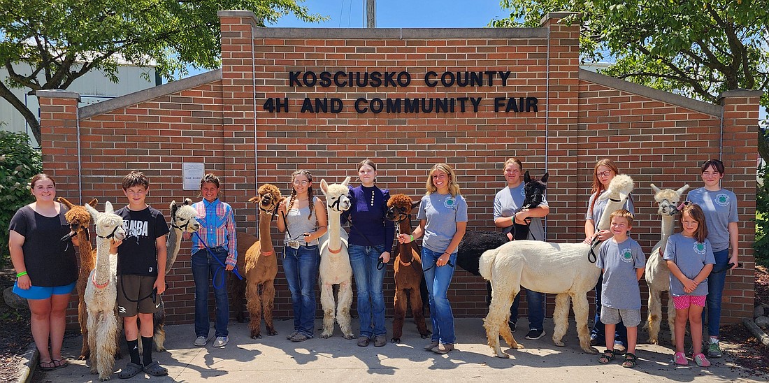 Pictured is the Kosciusko 4-H Alpaca Club. Photo Provided by Scott Shelhart