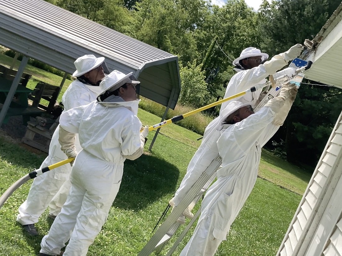 A hornet nest is safely removed. Photo Provided