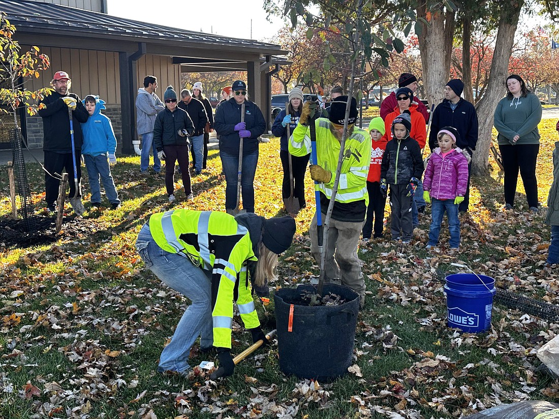 Davey Resource Group gives volunteers a demonstration Saturday on how to plant a tree at Center Lake. Photo by David Slone, Times-Union.