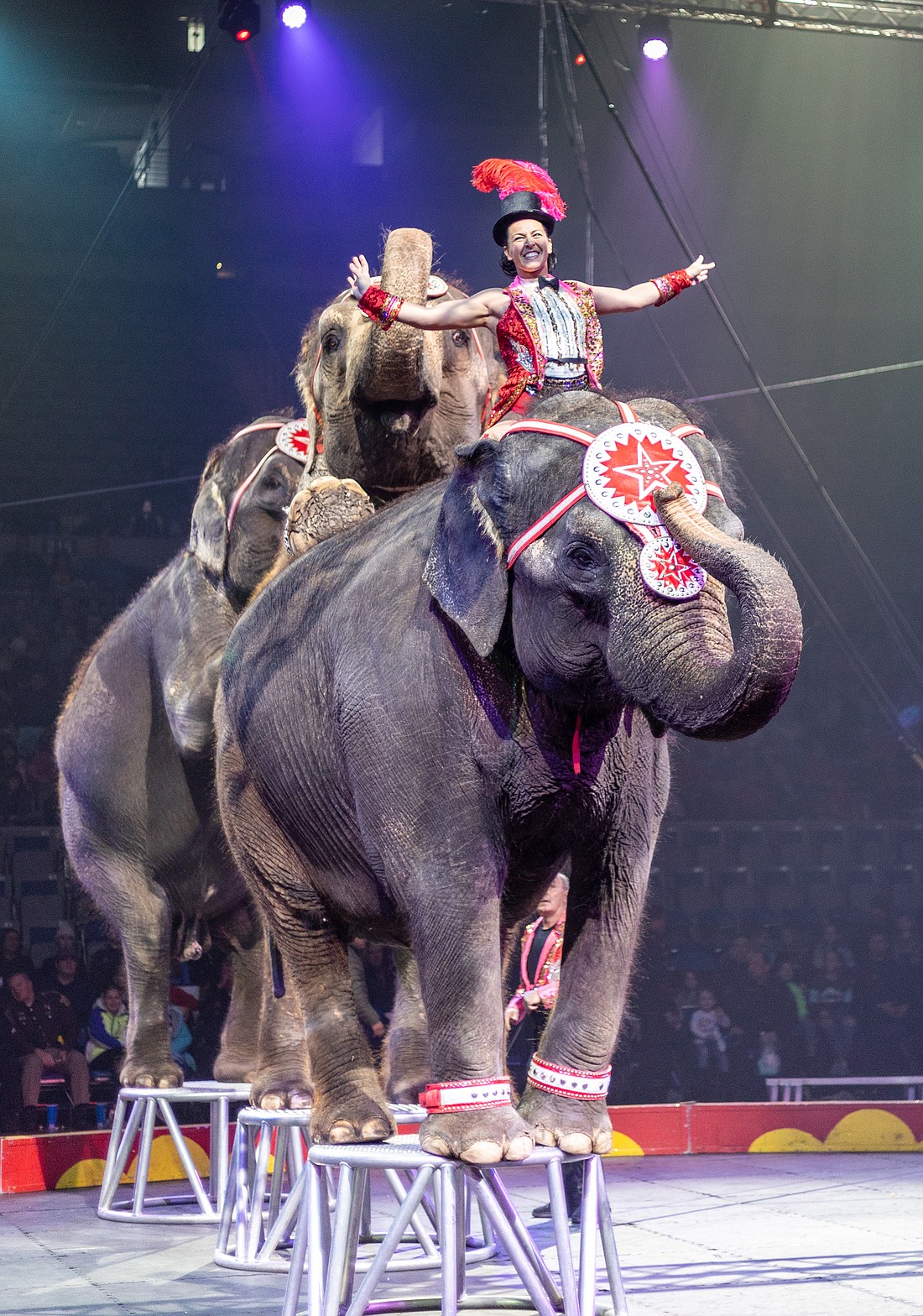 The 78th  annual Mizpah Shrine Circus is Jan. 24-26 at the Memorial Coliseum in Fort Wayne. Photo Provided.