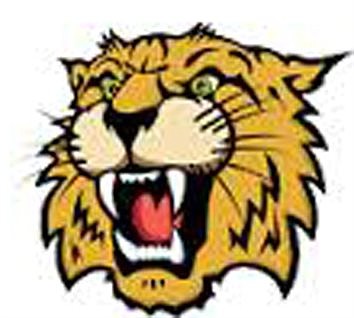 Whitko GBB Coach Bradley Steps Down