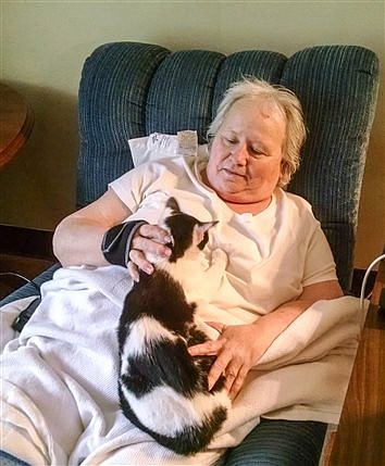 Pet Therapy
