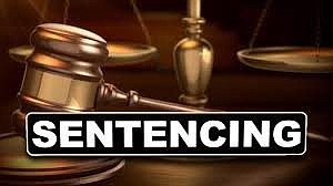 Nappanee Man Sentenced Following Molesting Plea