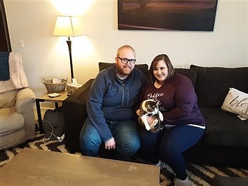 Cat Thought Lost Finds Its Way Home For Holidays