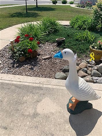 Warsaw Woman Masks Decorative Goose