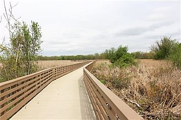 Ribbon-Cutting Ceremony For Conklin Bay Boardwalk & Trail Set For July 30