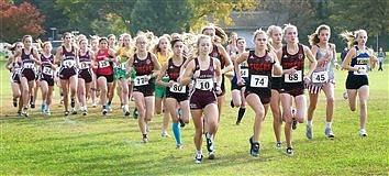 Tigers Dominate Field At  Cross-Country Sectionals