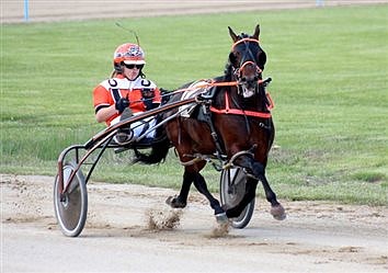 Harness Racing At Fairgrounds This Weekend