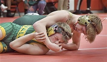 Area Wrestlers Have Strong Sectional Showing