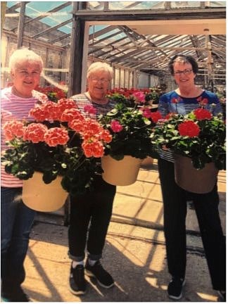 Delta Theta Tau Holds Geranium Sale