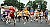 Husky 5K, Fun Run, Draws Hundreds Of Participants