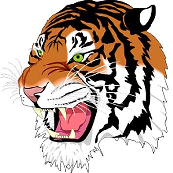 Warsaw Roundup: Lady Tiger Golf Defeats Tippecanoe Valley, Wabash