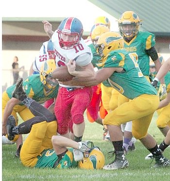 Elder, 'Cats Run Wild At Tippy Valley